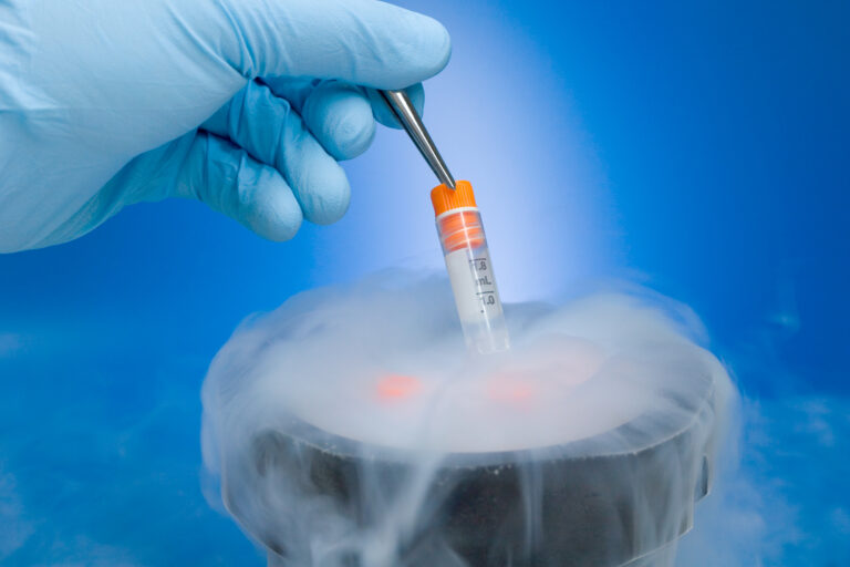 Fertility, Pregnancy & Beyond: A Gynecologist’s Guide